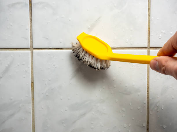 Best Residential Mold Remediation in Coalinga, CA