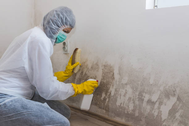 Coalinga, CA Mold Remediation Company