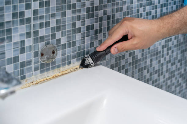 Best Preventive Mold Services in Coalinga, CA